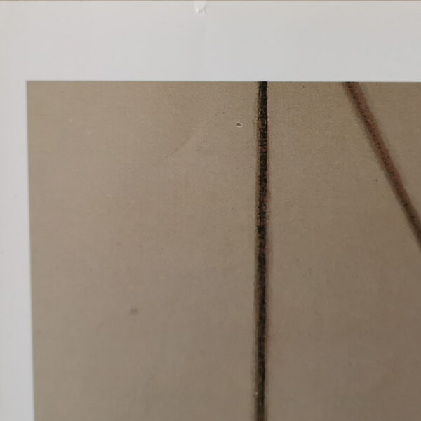 Francis Bacon - Three Studies of the Male Back - Louisiana 1998 (50x100 cm) - Billede 6